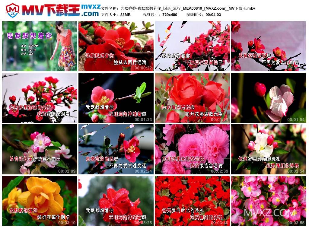 恋歌婷婷-我默默想着你_国语_流行_MEA00810